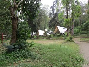 Lawu Forest Camp