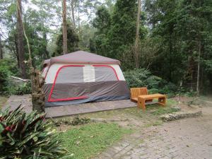 Lawu Forest Camp