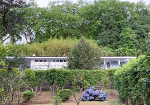 Challet Miradouro do Vale - 4hvězdičkové hotely ve městě Furnas