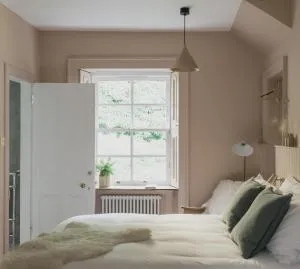 The Taybank - Riechip