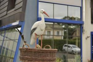 Appartements Gite Les cigognes de la Doller : photos des chambres