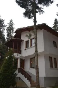 Вила Пенчеви, кк. Цигов чарк - Rakitovo