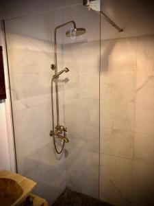 The Carpathian Lodge