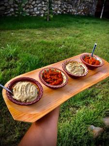 The Carpathian Lodge