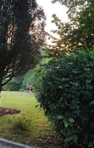 B&B / Chambres d'hotes Crown Roads : photos des chambres