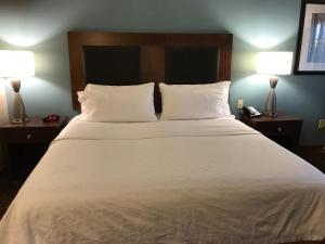 King Suite with Sofa Bed room in Holiday Inn Express and Suites St. Cloud an IHG Hotel