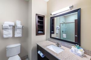 Holiday Inn Express Hotel & Suites Floresville by IHG