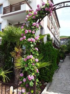 FREGATA 16 Studio Sveti Vlas