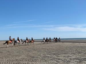 Appartements Appartement familial plein centre Hardelot Plage : photos des chambres