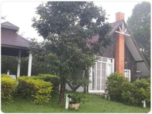 ไอหมอก ชาเล่ต์