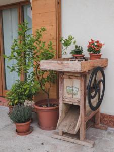 La Tieda - locazione turistica Reolon