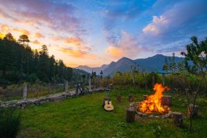 Zostel Shangarh, Kullu
