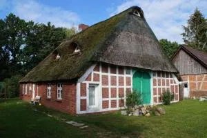 Kreativ-Kate - Hollnseth