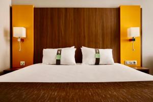 Hotels Holiday Inn Lyon Vaise, an IHG Hotel : Chambre Double Standard