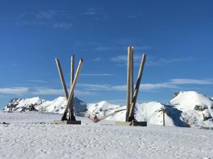 Appartements Appartement 8 personnes a 3 minutes des pistes : photos des chambres