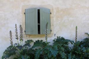 Maisons de vacances Ecogite Rural La Cle des Champs : photos des chambres