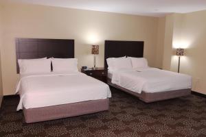 Deluxe Queen Suite - Disability Access room in Holiday Inn Express Pittsburgh West - Greentree an IHG Hotel