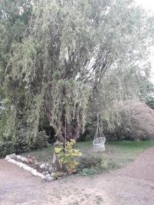 Appartements Gite du Moulin Bechereau : photos des chambres