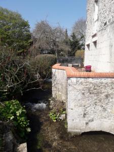 Appartements Gite du Moulin Bechereau : photos des chambres