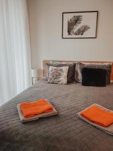 Kunigiškių apartamentai