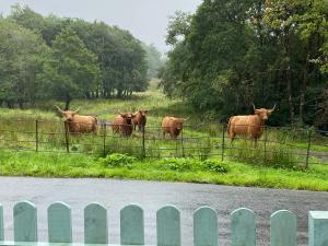 Cladich House Bed & Breakfast