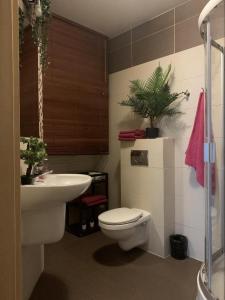 Pułaskiego 11A Przestronne apartamenty Sopot centrum