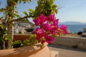 Pantonia Apartments Kythira Greece