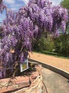 Maisons d'hotes le chemin du meunier : photos des chambres