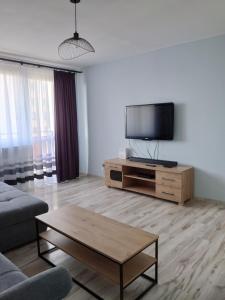 Grey Elephant Apartament Radom