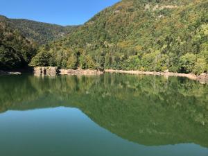 Appartements Gite Leonline sur les hauteurs de Masevaux -au pied des Vosges : photos des chambres