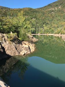 Appartements Gite Leonline sur les hauteurs de Masevaux -au pied des Vosges : photos des chambres