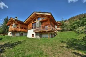 Chalet ALPACA (6-9 pers.) "Le Parchey" Peisey-Vallandry - Domaine Paradiski