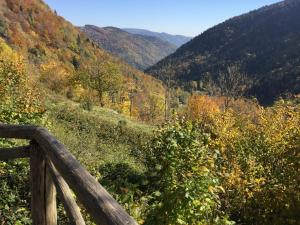 Appartements Gite Leonline sur les hauteurs de Masevaux -au pied des Vosges : photos des chambres