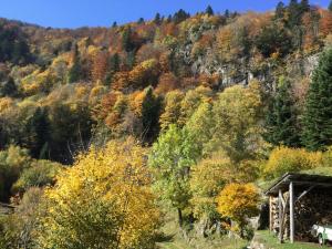 Appartements Gite Leonline sur les hauteurs de Masevaux -au pied des Vosges : photos des chambres