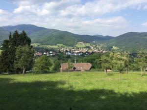 Appartements Gite Leonline sur les hauteurs de Masevaux -au pied des Vosges : photos des chambres