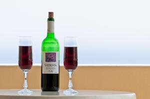 Double or Twin Room with Sea View room in Artemis Village