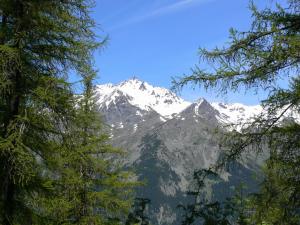 Appartements Hameau 8 101 - SPA & PISCINE studio 4 pers : photos des chambres