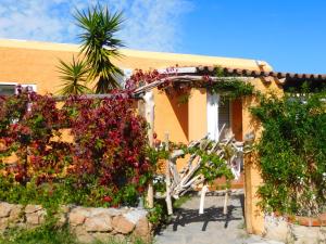 Residence La Pineta img28