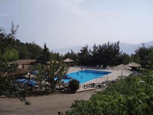 Bungalow - Camping Apollon Parnassos Greece