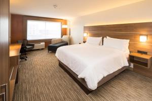 Standard King Room room in Holiday Inn Express & Suites - Kalamazoo West an IHG Hotel