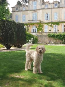 Hotels Chateau de Varenne : photos des chambres