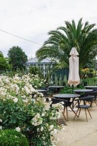 Hotels Manoir Des Douets Fleuris : photos des chambres