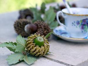 Luxury Crete Villa Villa Alkioni Private Pool Beautiful Interior