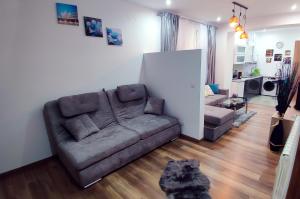 Stefan Center Apartment