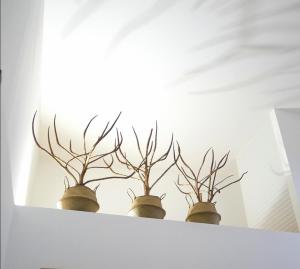 Theatron Houses- Centro Storico