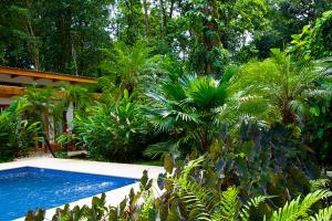 La Paz del Caribe Adults Only