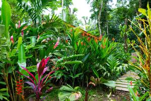 La Paz del Caribe Adults Only