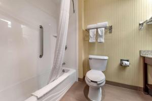 Standard King Suite - Non-Smoking room in Comfort Inn & Suites Warsaw
