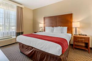 King Suite - Non-Smoking room in Comfort Inn & Suites Galt – Lodi North