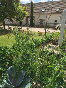 B&B / Chambres d'hotes La Ferme de la Maugerie : photos des chambres